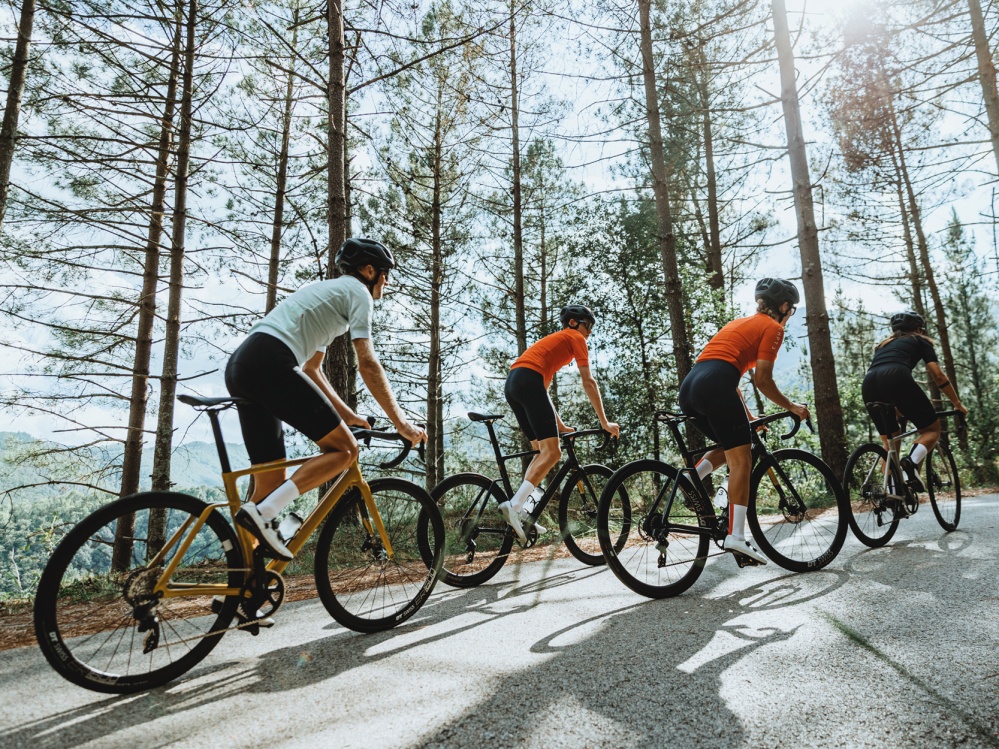 Cyclists riding up a treelined road