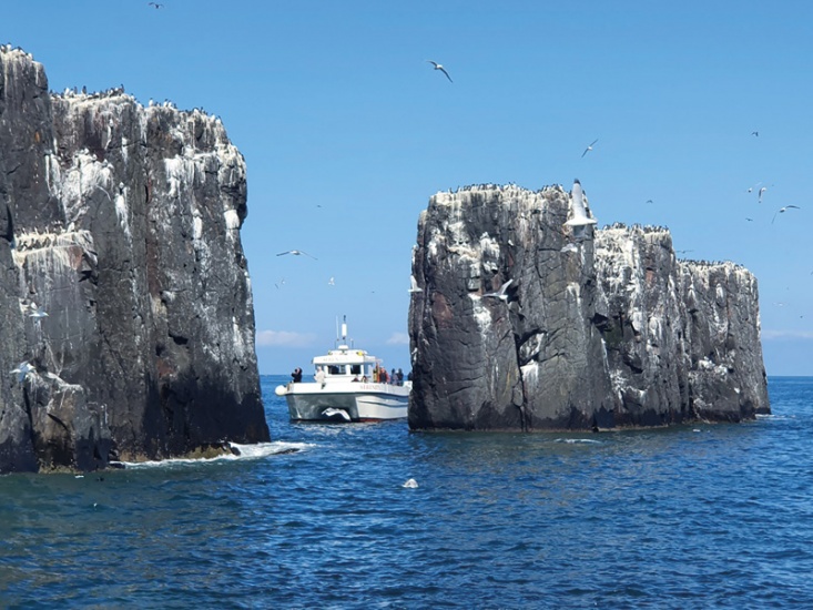 Serenity Farne Islands Boat Tours