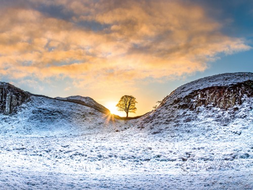 Living North Readers Share Their Own Photographs in Memory of Sycamore Gap