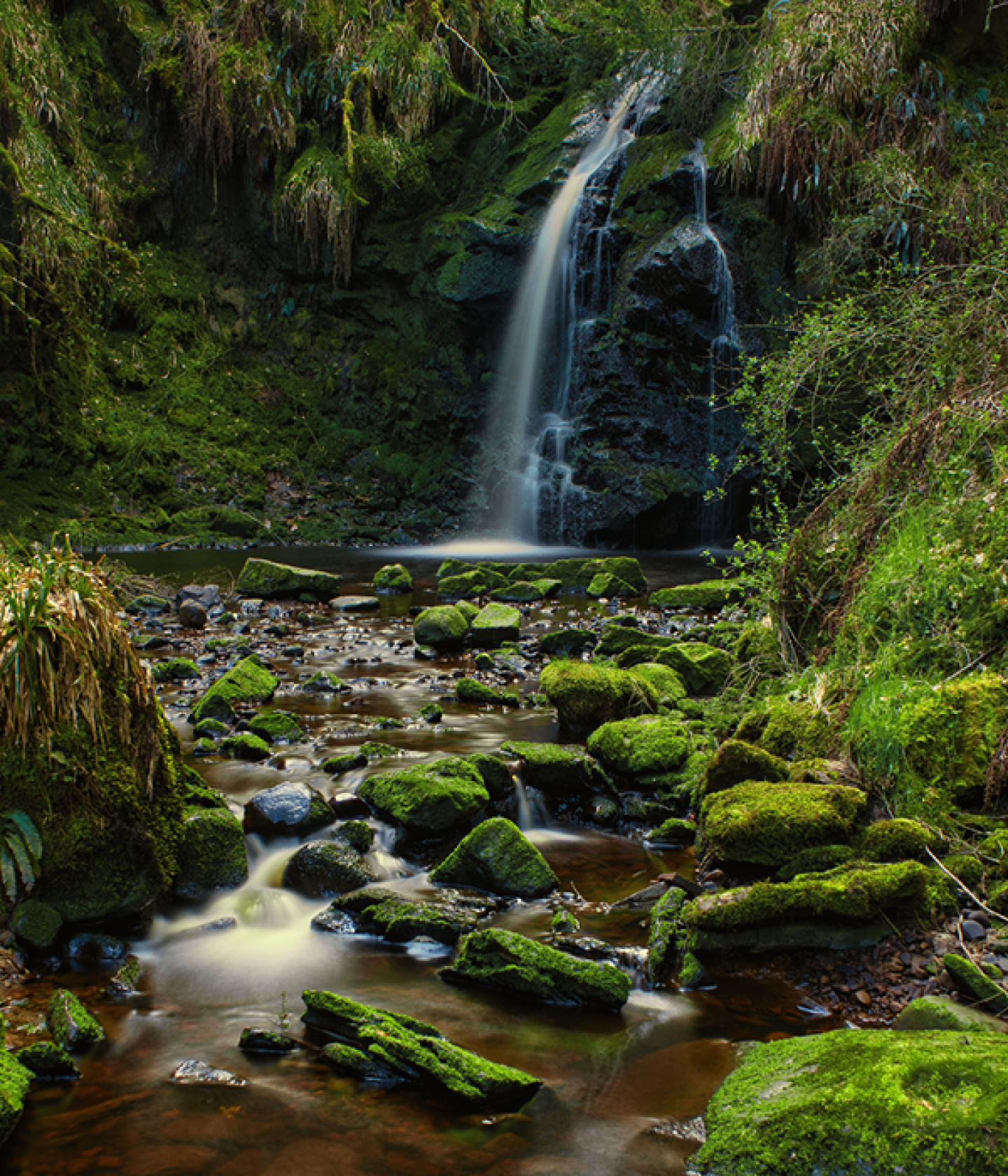 Hindhope Linn, Madfencer Photography
