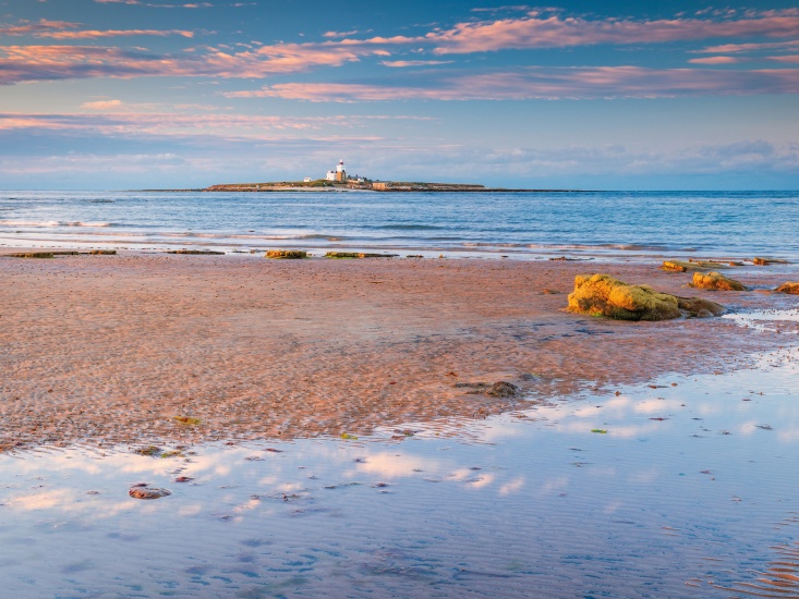 Coquet Island