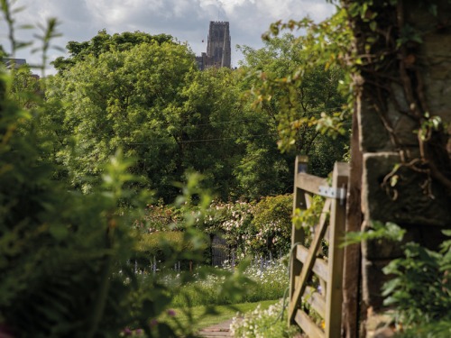 Discover the North East's New Green Corridors