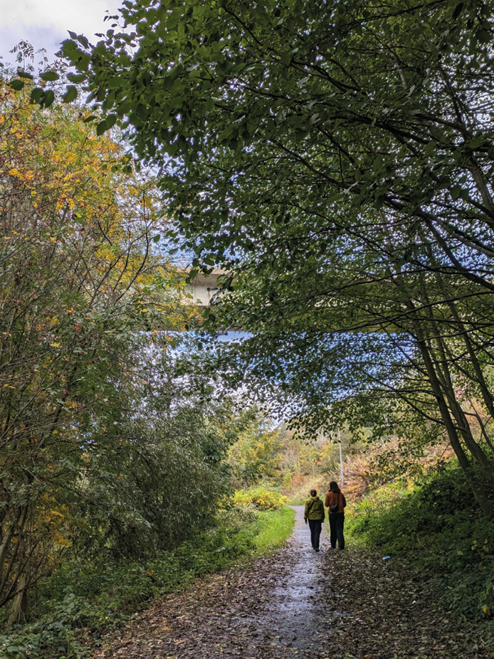 Where to Walk the North East's New Green Corridors including the Tyne ...