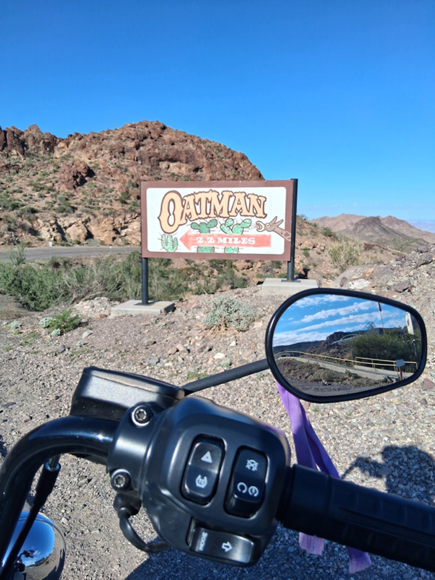 Harley Davisonwith purple ribbons near Oatman on route 66