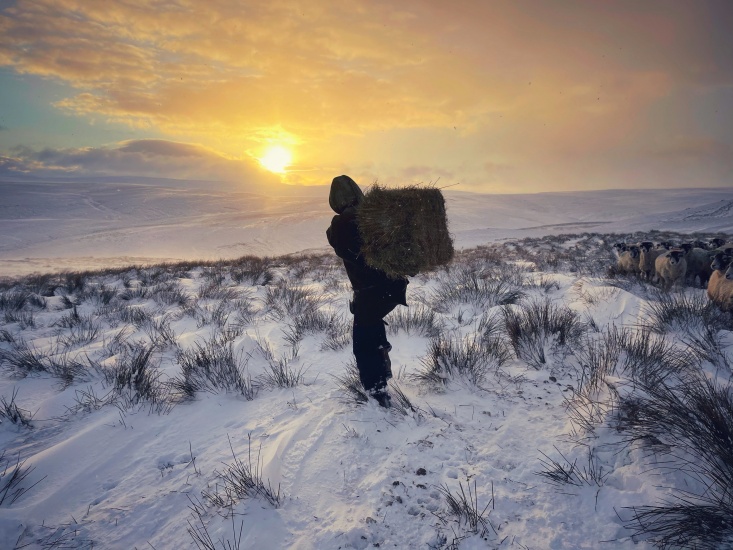Amanda Owens on Her Yorkshire Life