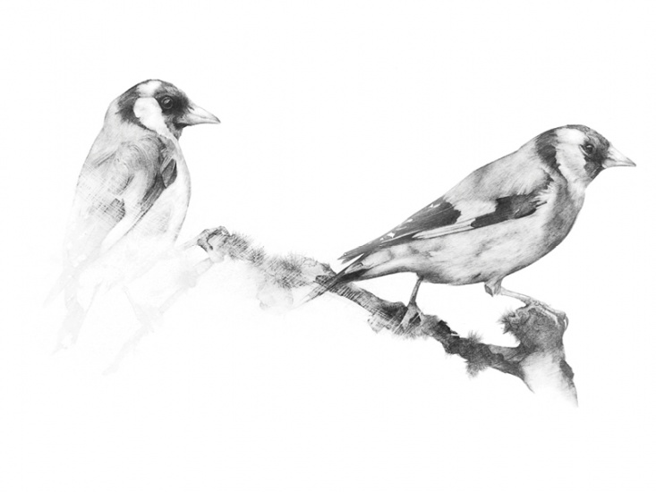 Berwick-Based Artist Amy Izat's Perfectly Imperfect Artwork