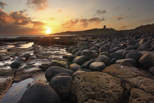 Andrew Whitaker - Northumbrian Photography