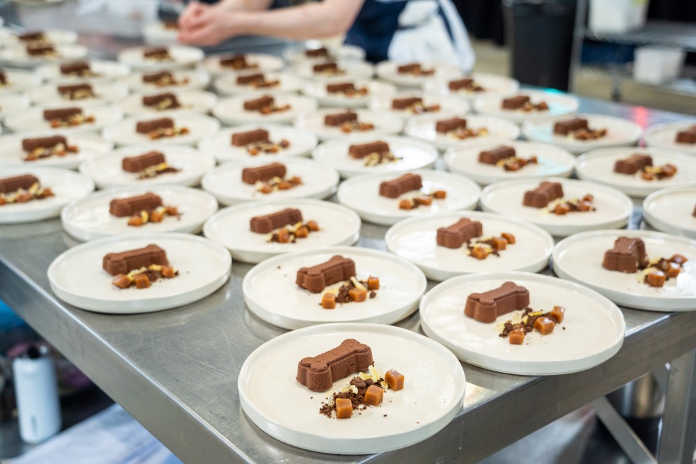 Give a Dog a Bone Dessert