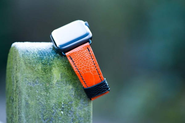 Leather Apple Watch strap