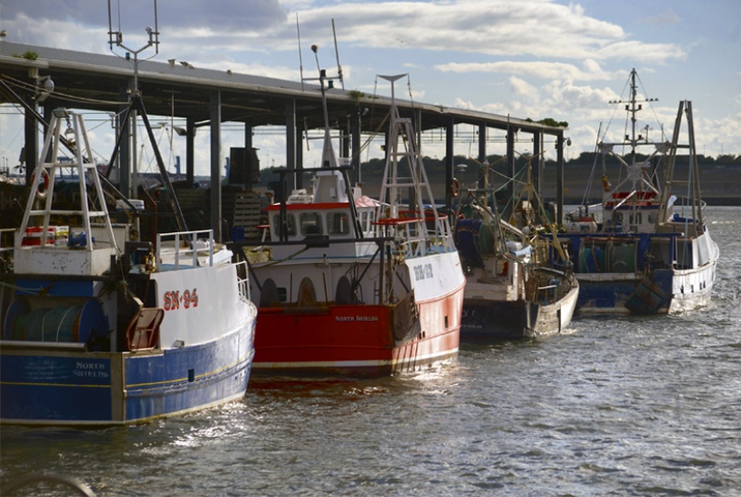 Fishing Boats, Peter Atkinson