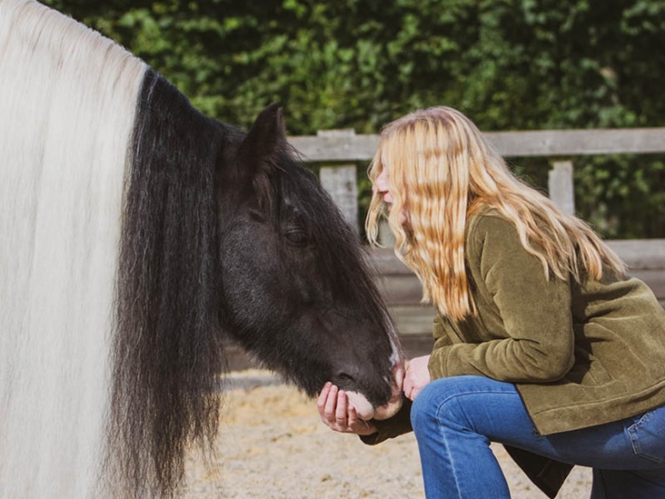 Equine Massage Therapist Caring for Our Horses