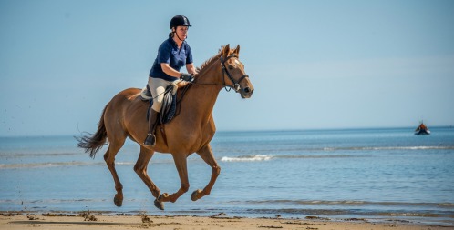 Riding for a Reason in Washington