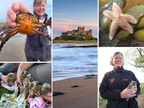 Meet Ranger Jane Who Runs a Northumberland Beach School in Seahouses