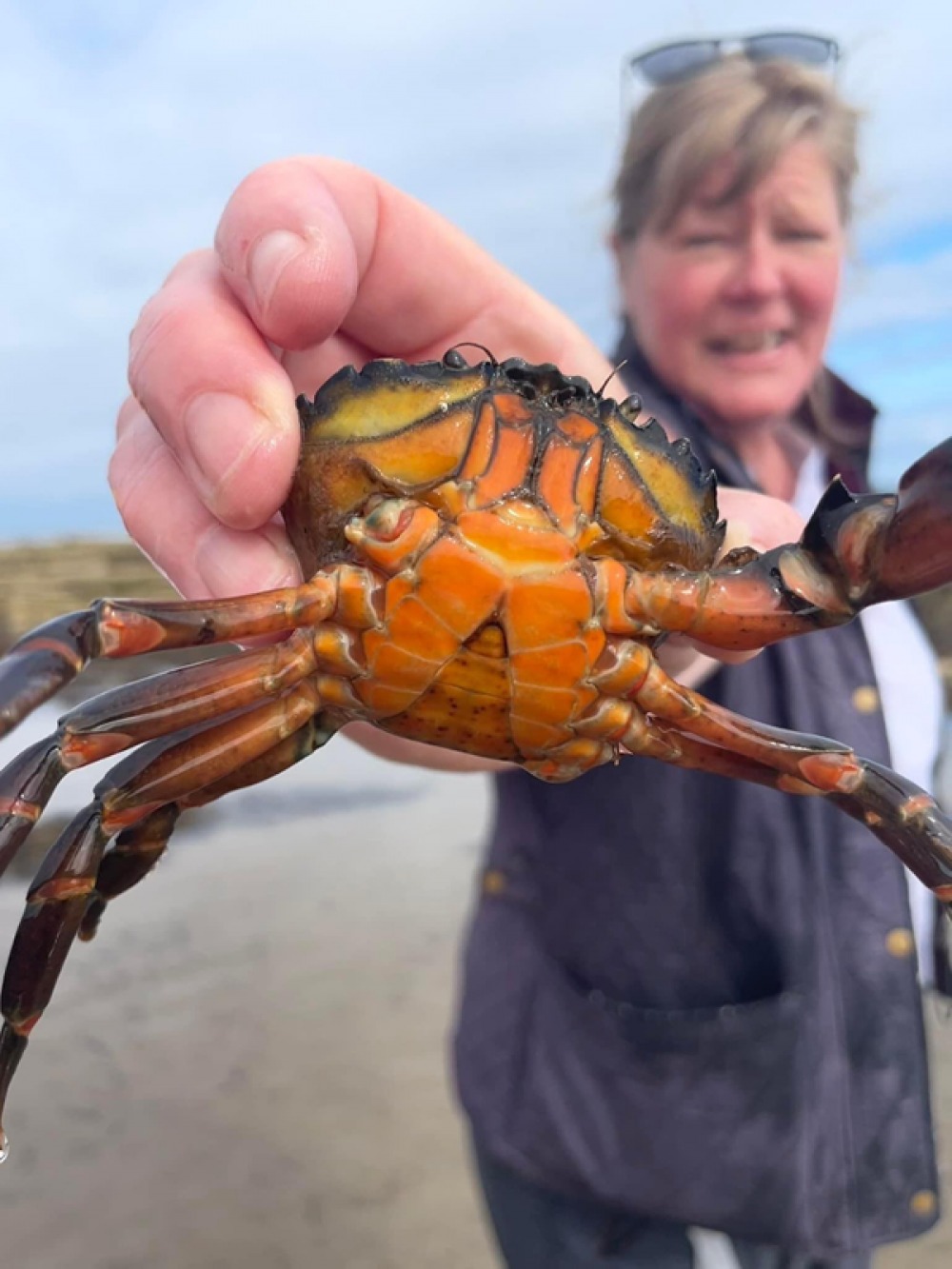 close up of Jane holding a crab