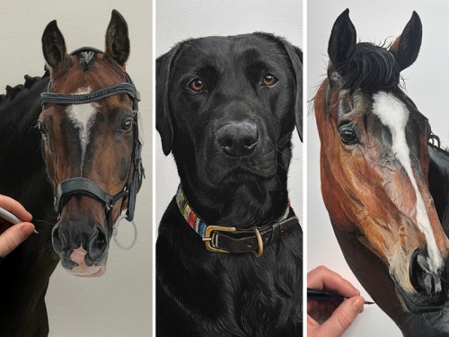 Meet North Yorkshire Fine Artist Lottie McAteer