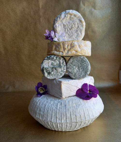 Cheese cake by Crosby Loves Cheese