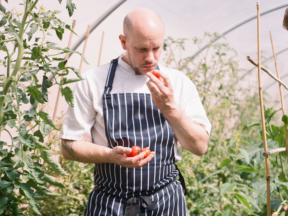 man and fresh tomatoes