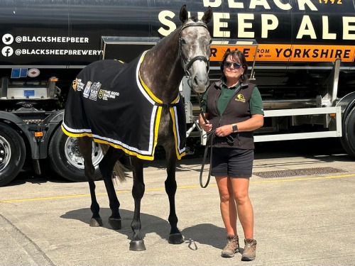 Meet the Former Racehorses, Including Burrow Seven, Retraining near York