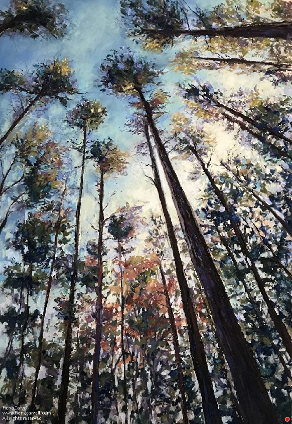 Fiona Carvell