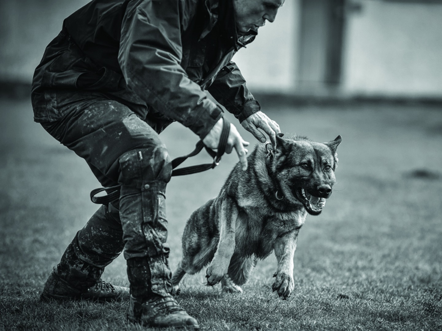 Retired PD Vik