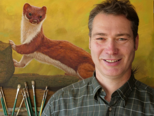 Meet the Yorkshire Wildlife Artist Whose Work with Baby Stoats Found in his Garden Has Gone Viral This Month