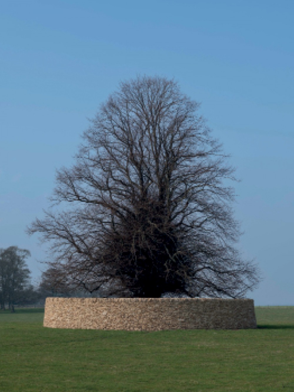 Andy Goldsworthy’s Peter’s Fold 2022