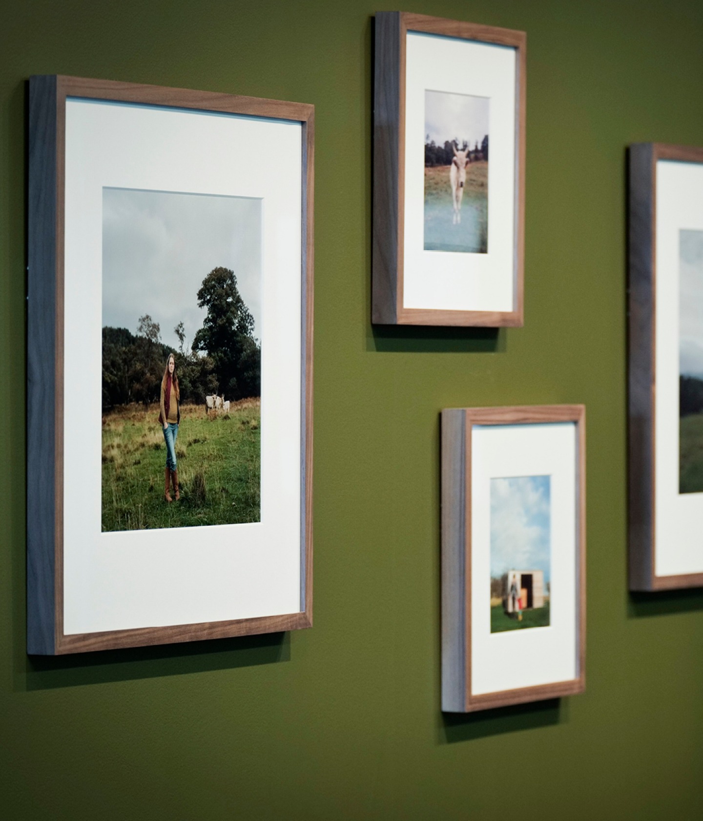 Framed photos hung on a green wall