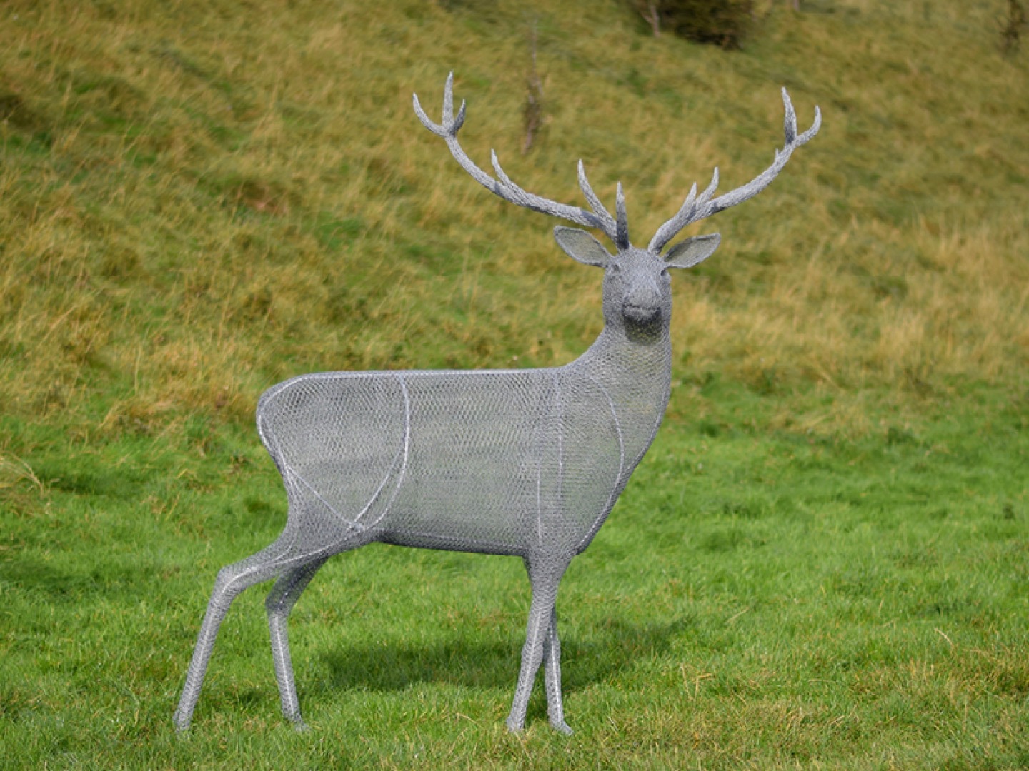 wire stag sculpture