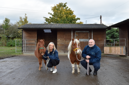 How To Support Newcastle's Dog & Cat Shelter