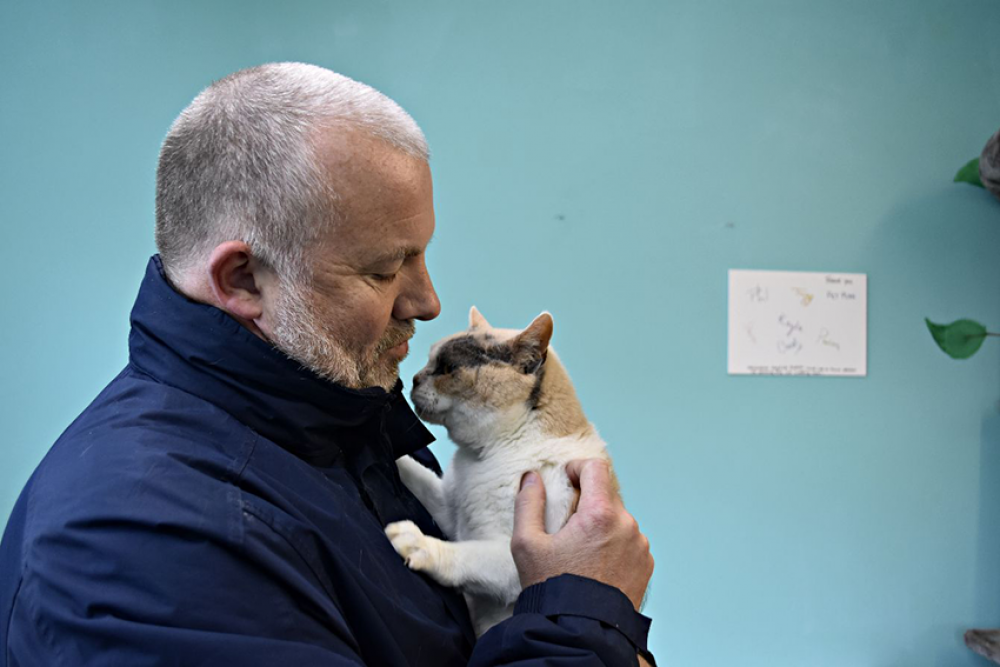 Cat & Dog Shelter Newcastle
