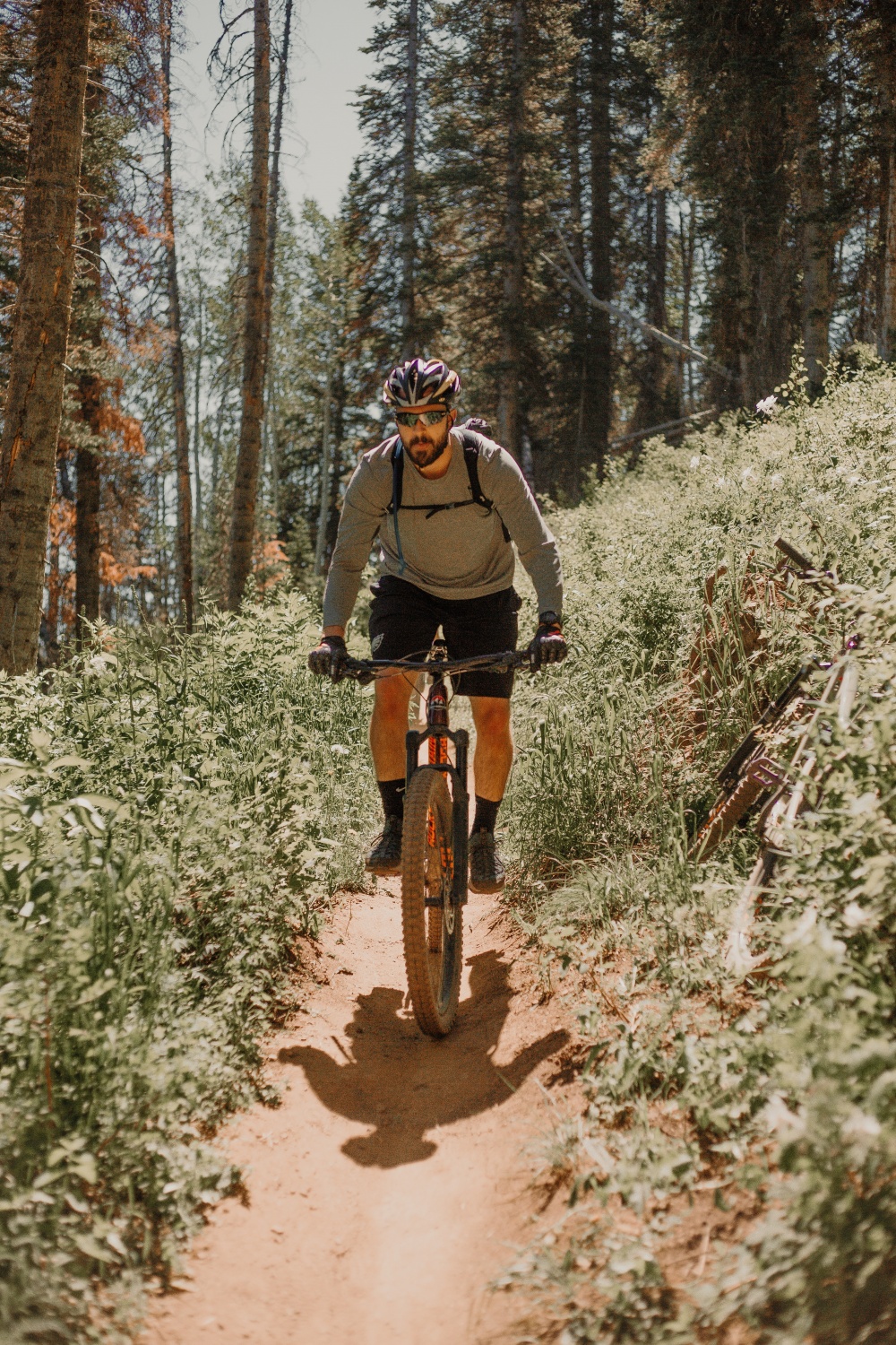 Dom Hodgson, Tour de Rescue