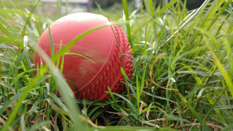 cricket ball, Pixabay