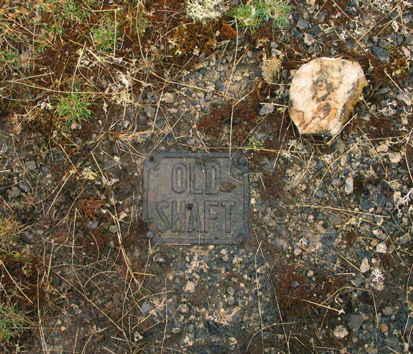 Ingrid Pollard, Old Shaft, 2013
