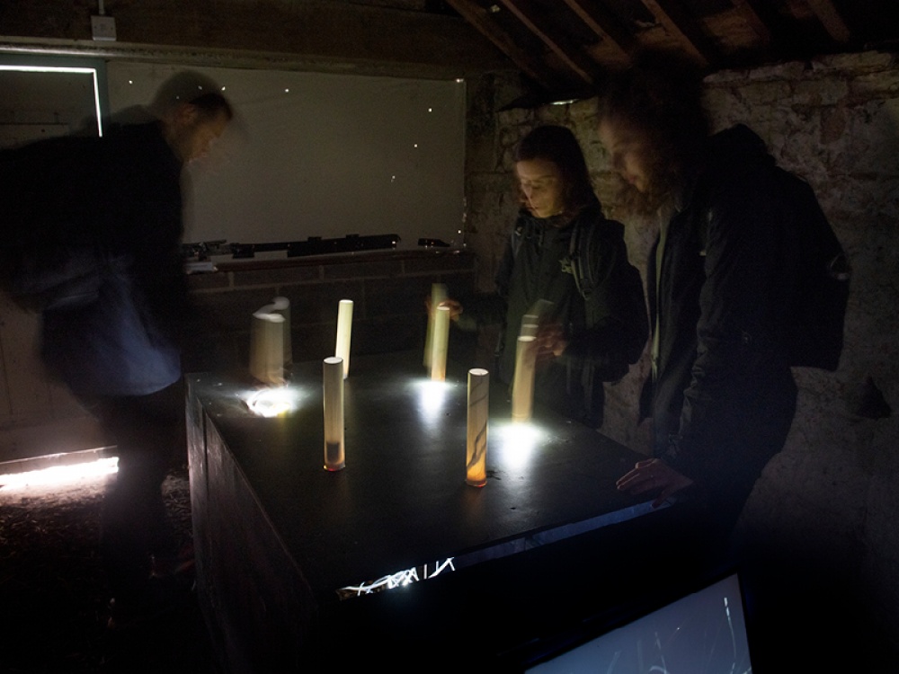how Visual Arts in Rural Communities offers the perfect space to create