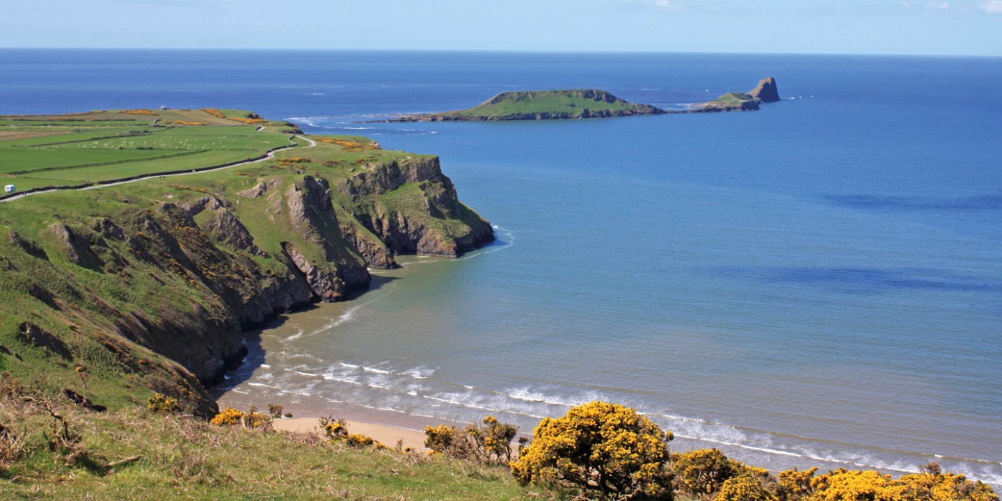 Worm Head