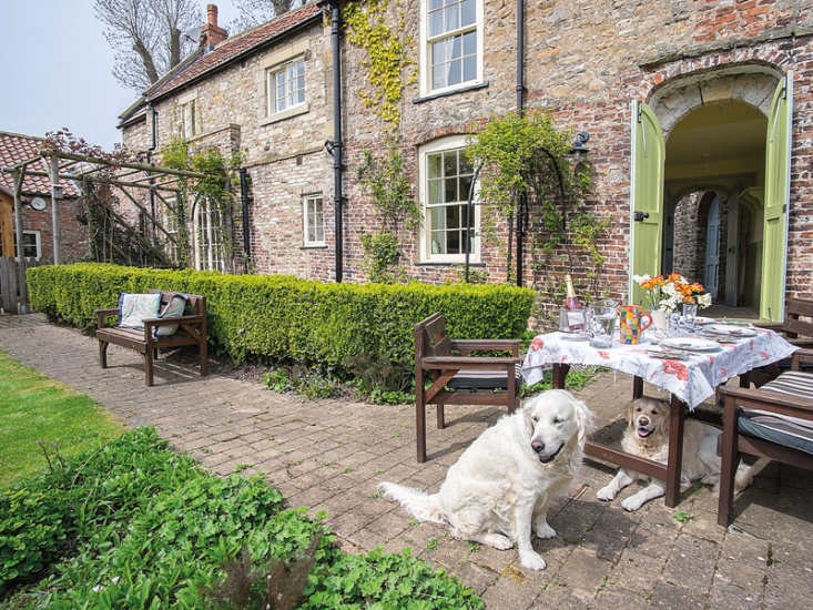Garden at Garden Cottage, dining table set with two dogs lying underneath