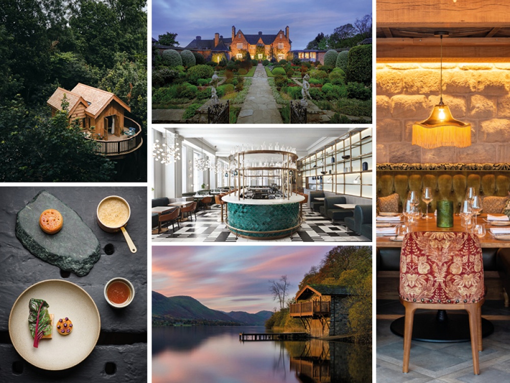 collage of featured images