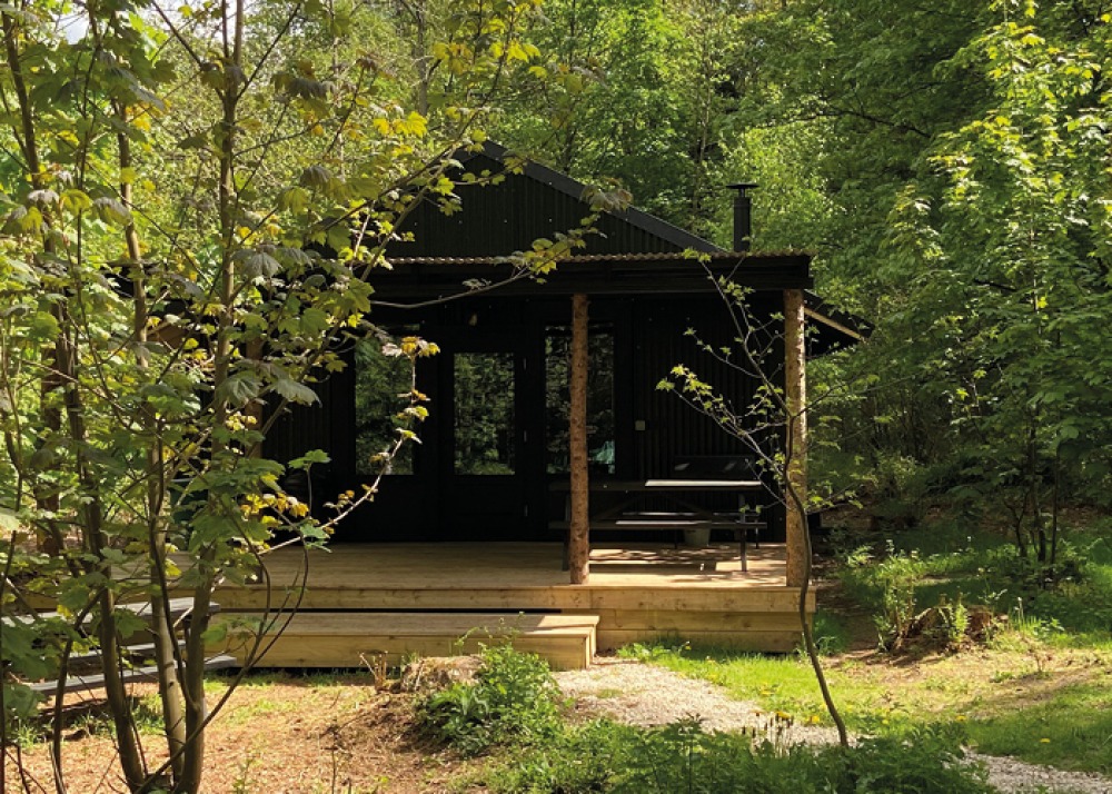 wooden bothie surrounded by woodland