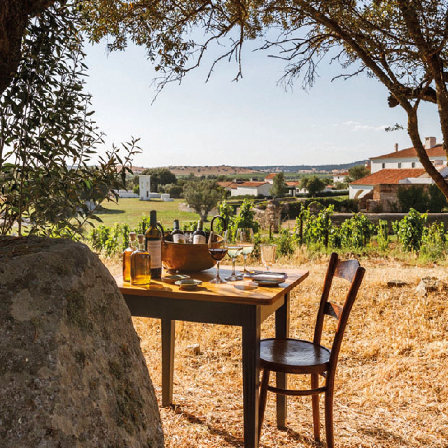 small table with oil an wine at São Lourenço do Barrocal