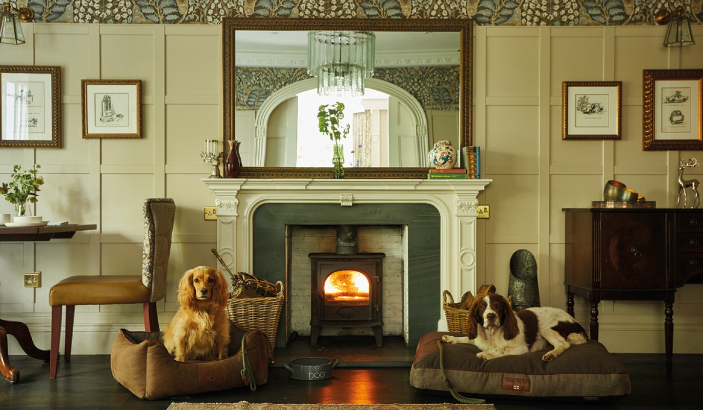 dogs sitting cosy in front of a wood burner at Rothay Monr