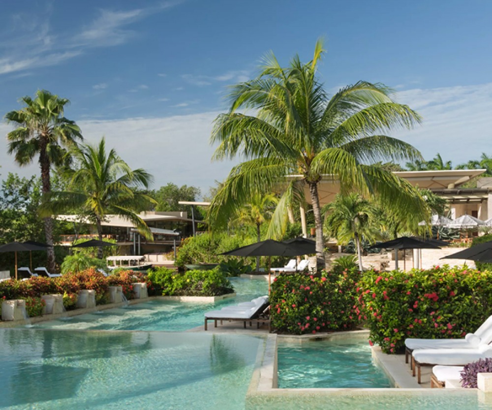 Pool area with built up loungers and tropical greenery