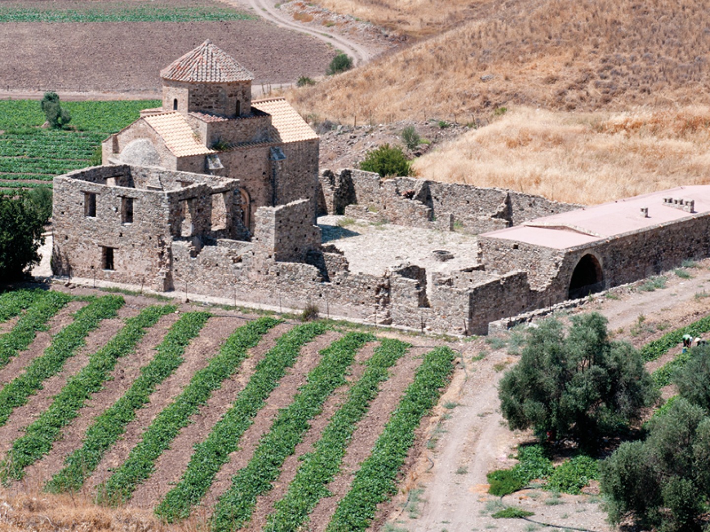 Panagia Sinti Paphos