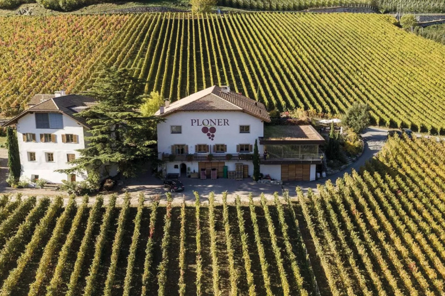 Weingut Plonerhof