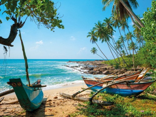 Review: We Go Whale Watching in Sri Lanka