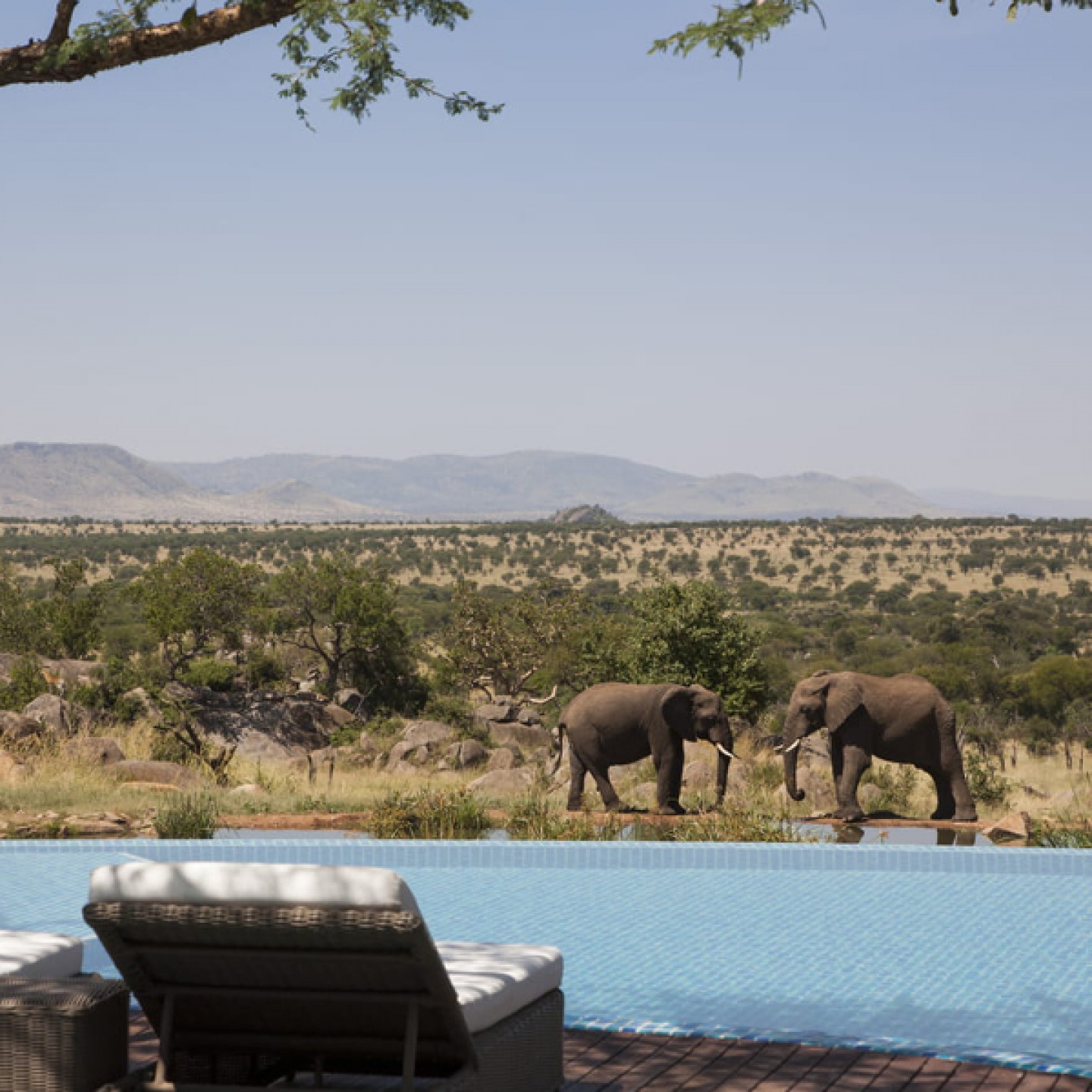 Four Seasons Safari Lodge
