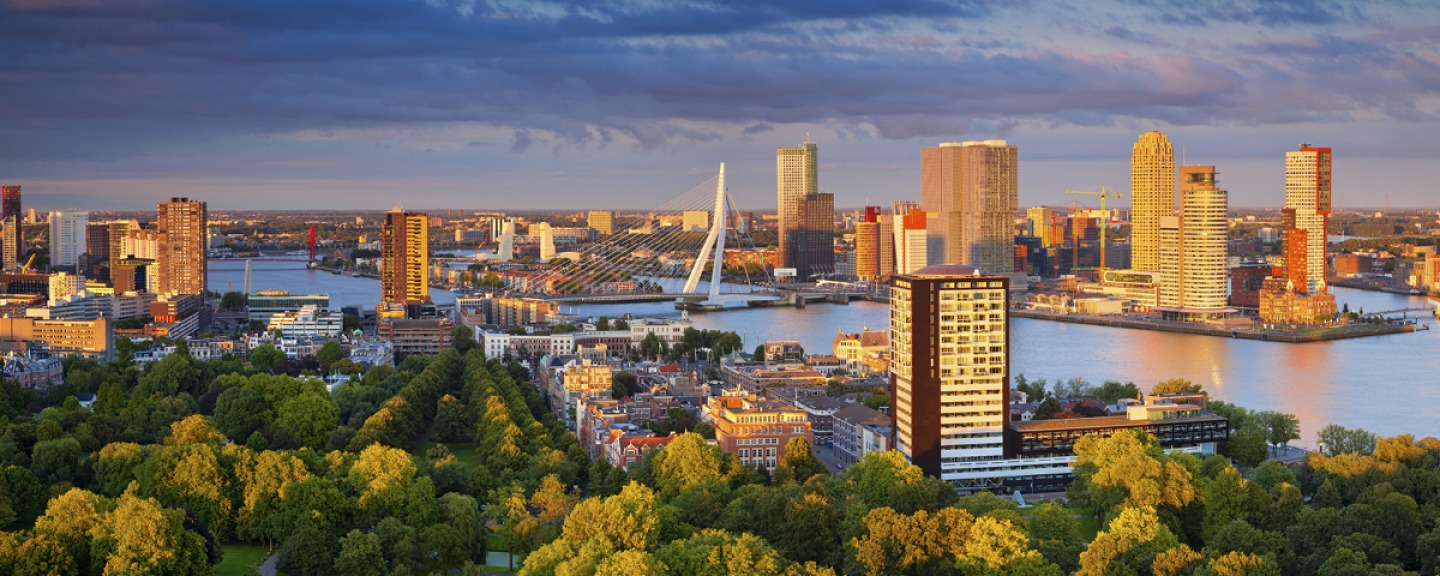 View over Rotterdam