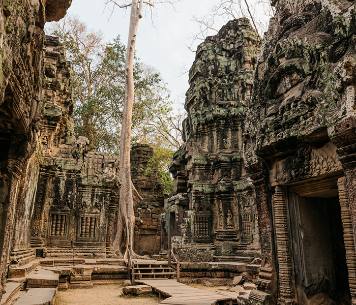 Angie Wat, Vietnam