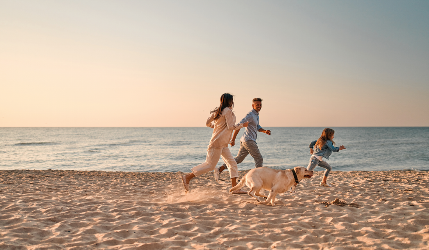 family running along the beach with a dog