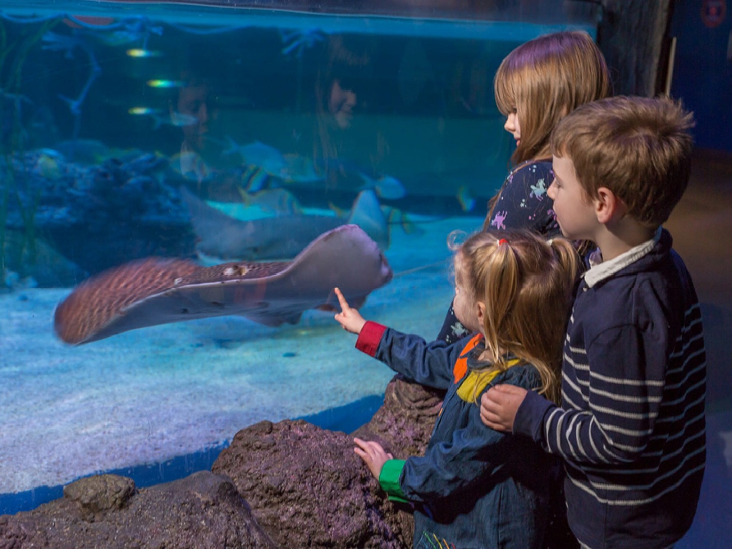 Sealife