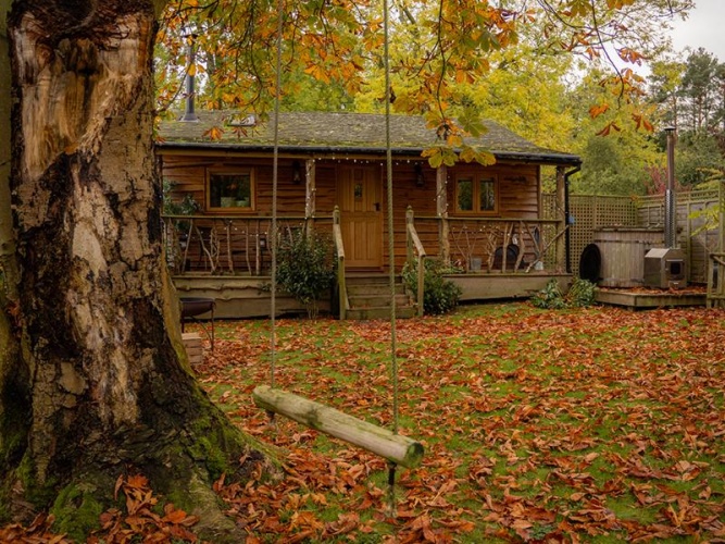 The Treehouse